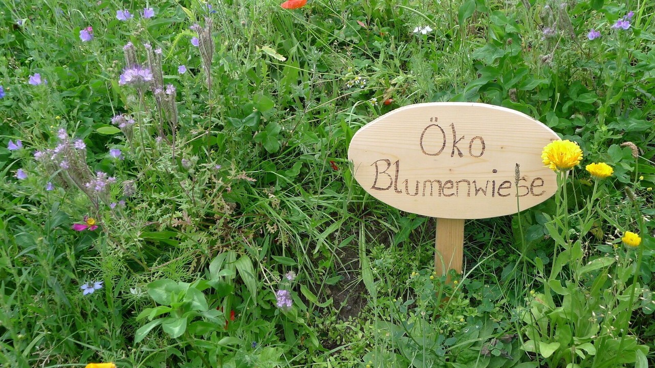 Photo of Others in Heiligenblut