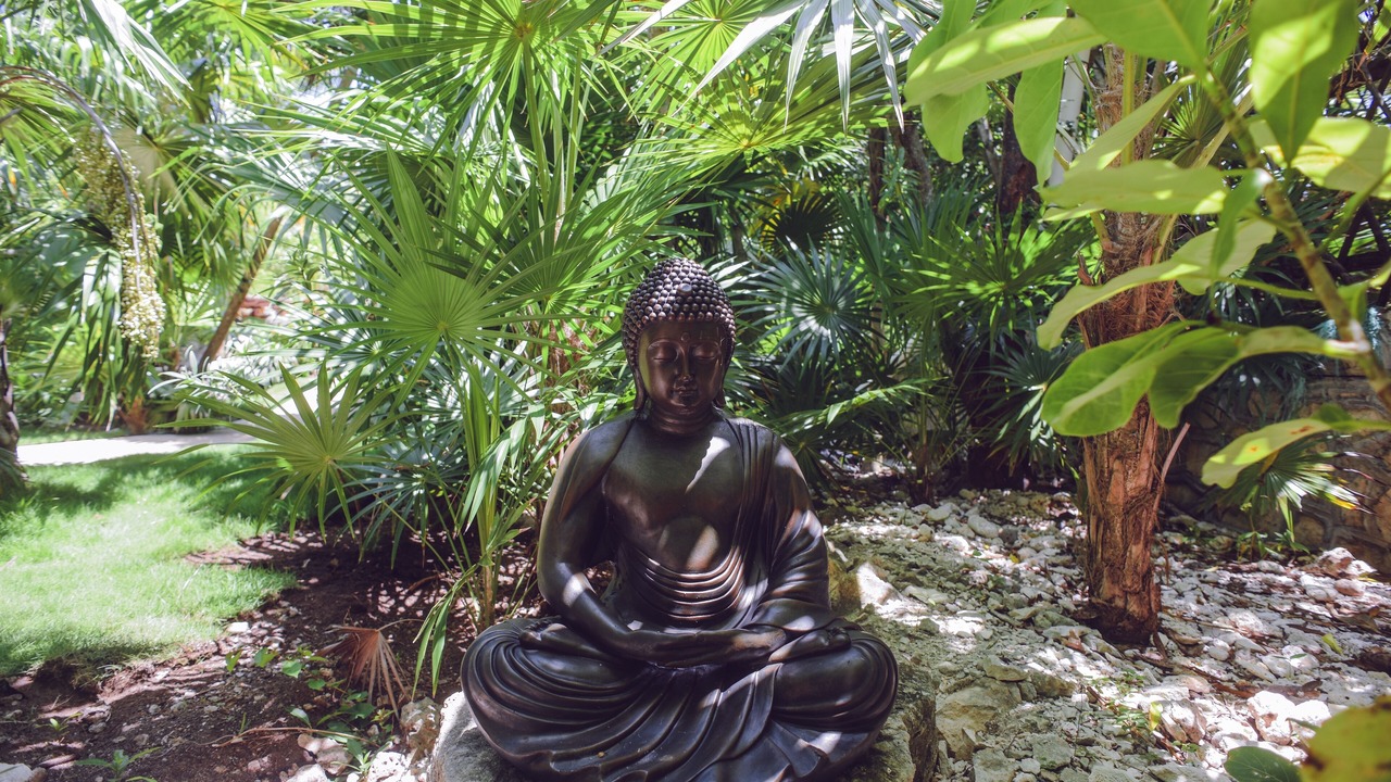 Photo of Outdoor in Playa del Secreto