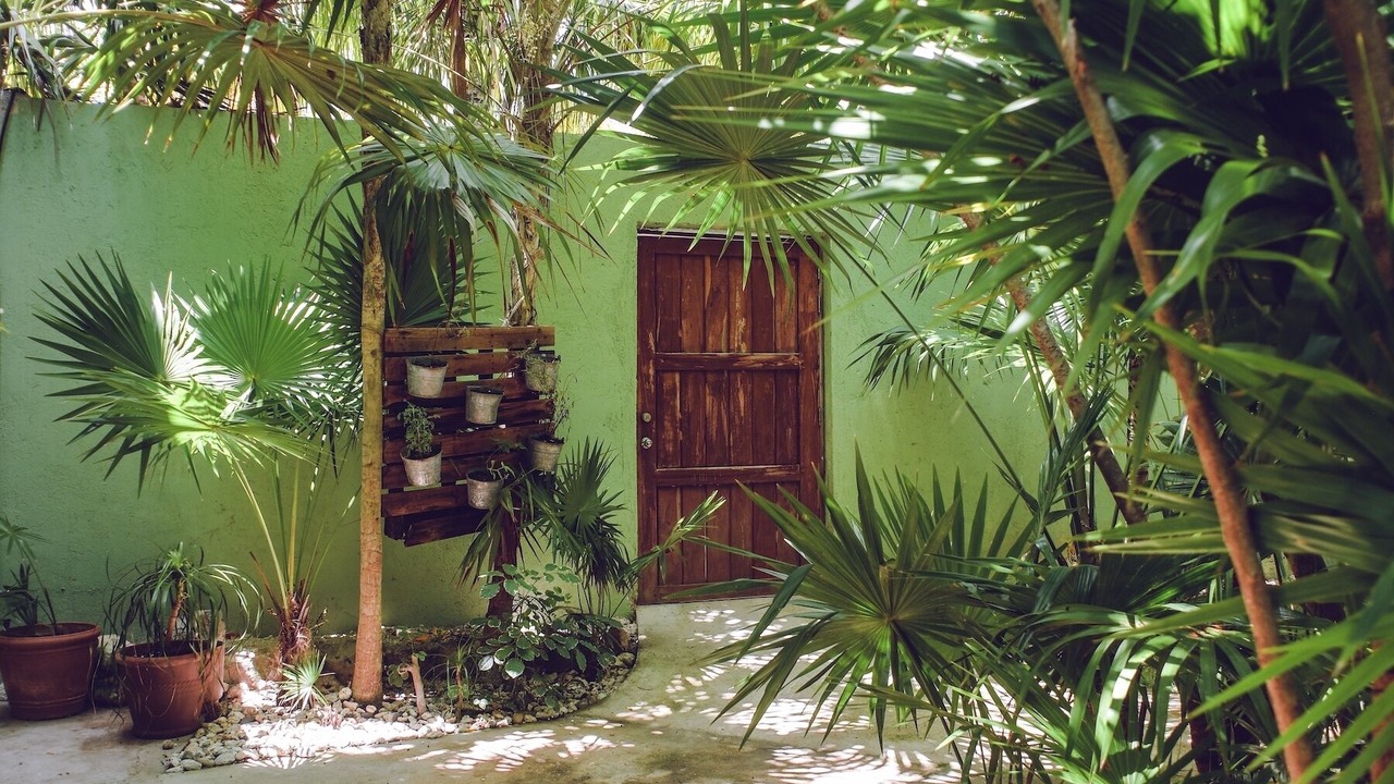 Photo of Outdoor in Playa del Secreto