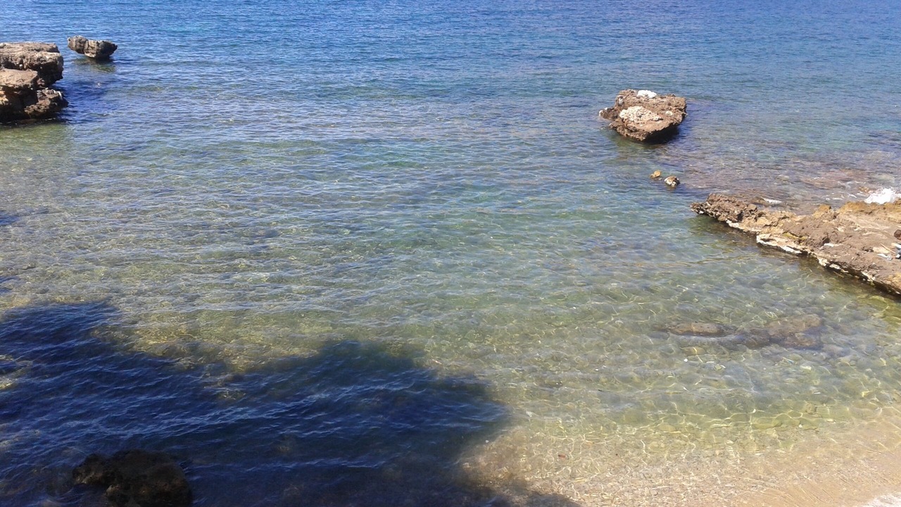 Photo of Others in Port d'Andraitx