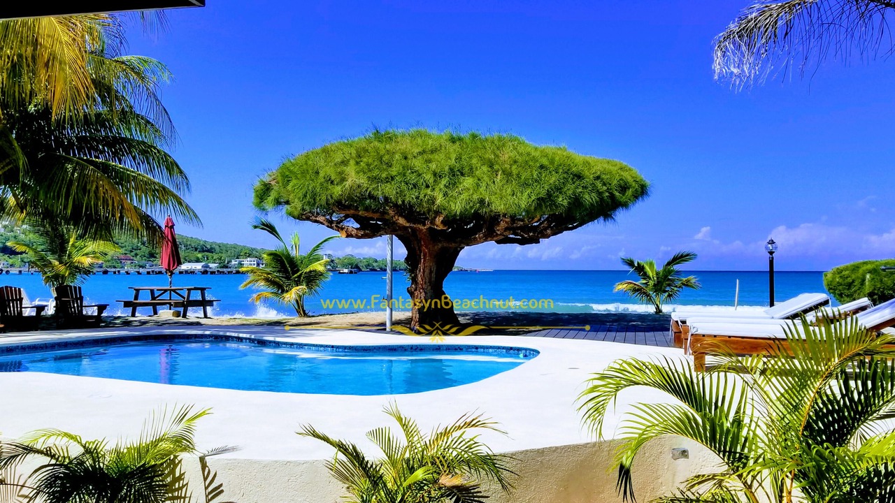 Photo of Outdoor in Rio Bueno