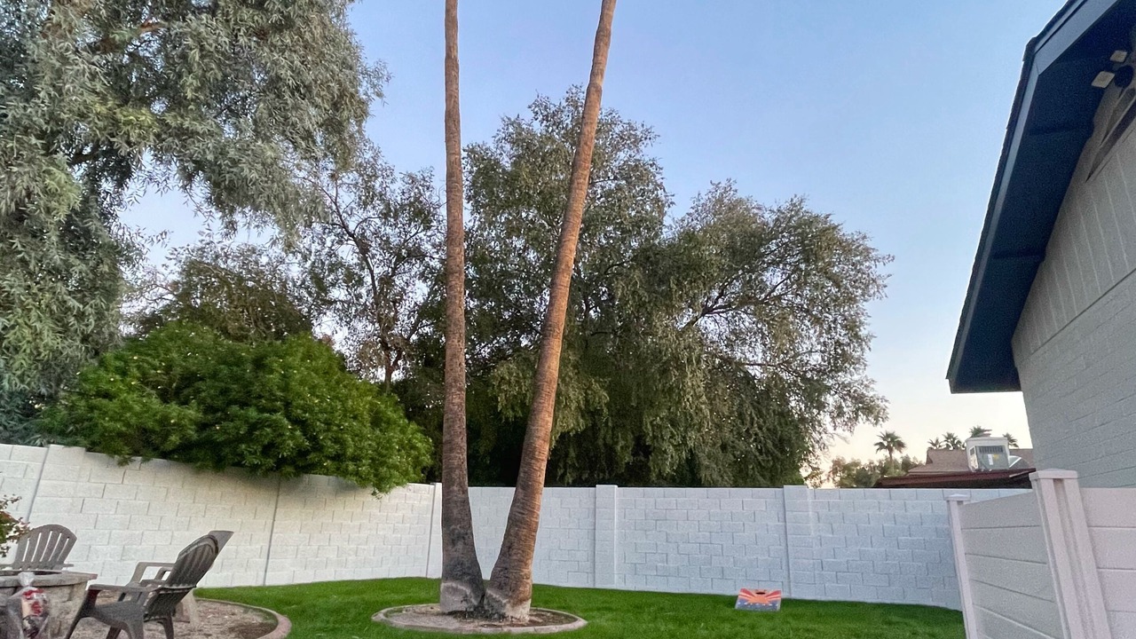 Photo of Others in Dobson Ranch