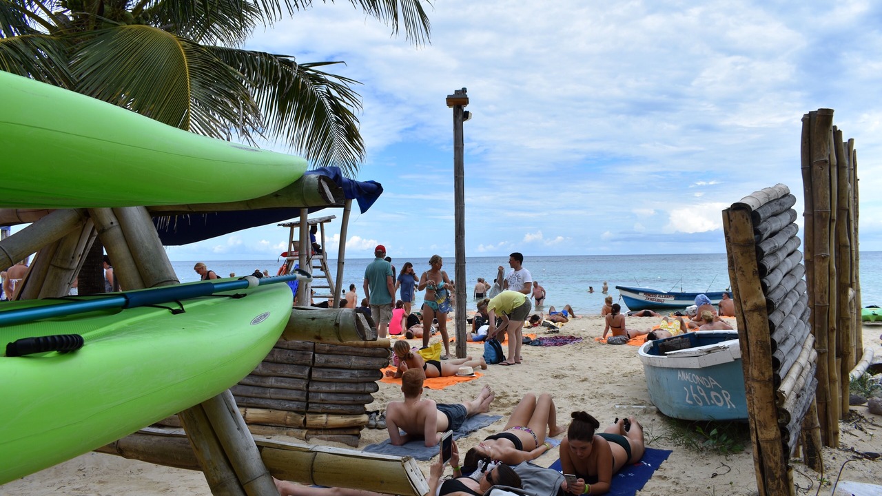 Photo of Others in Mammee Bay Estates