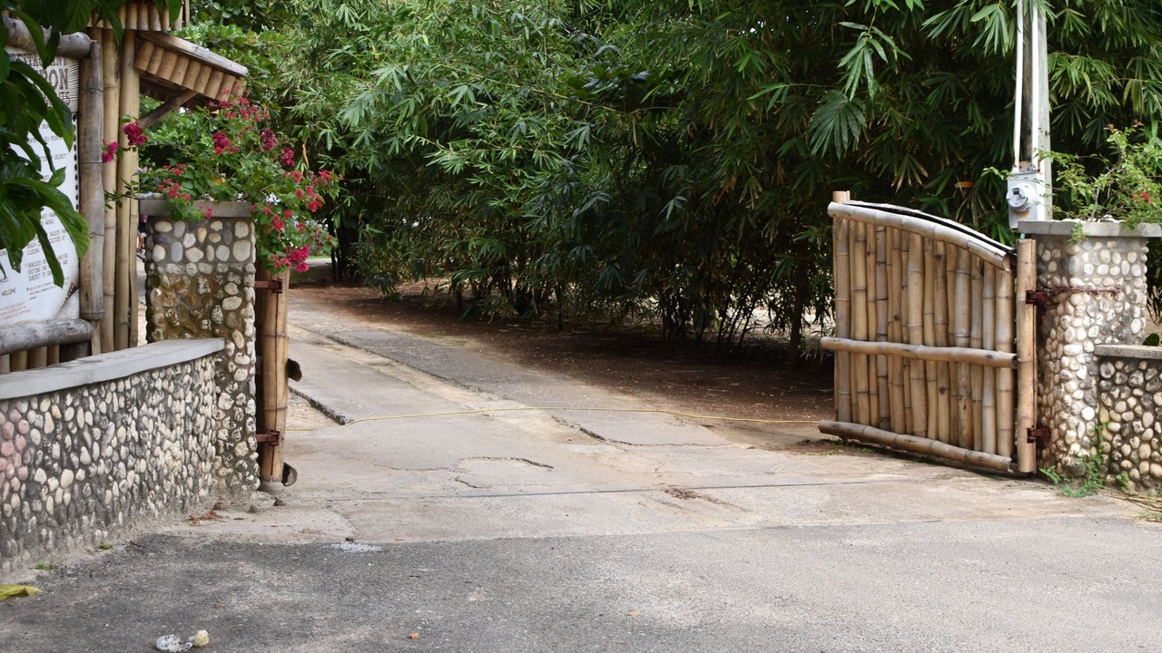 Photo of Others in Mammee Bay Estates