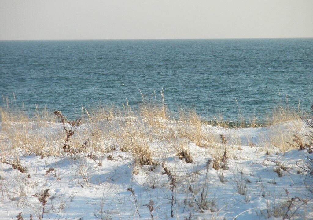 Photo of Others in West Hampton Dunes