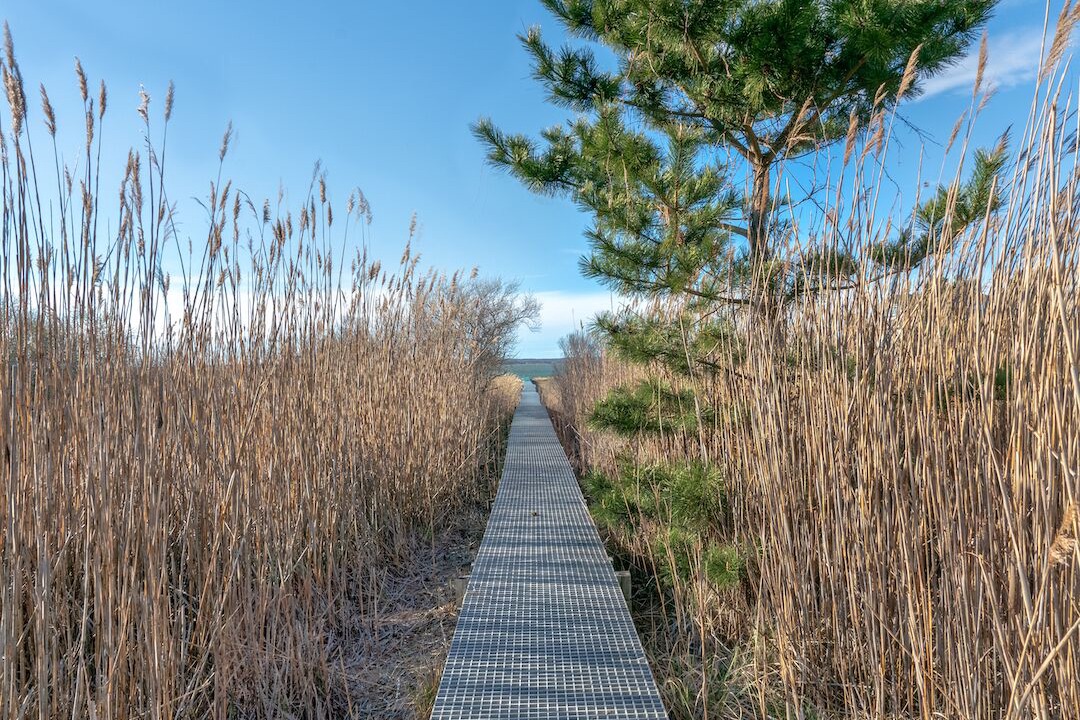 Photo of Outdoor in West Hampton Dunes