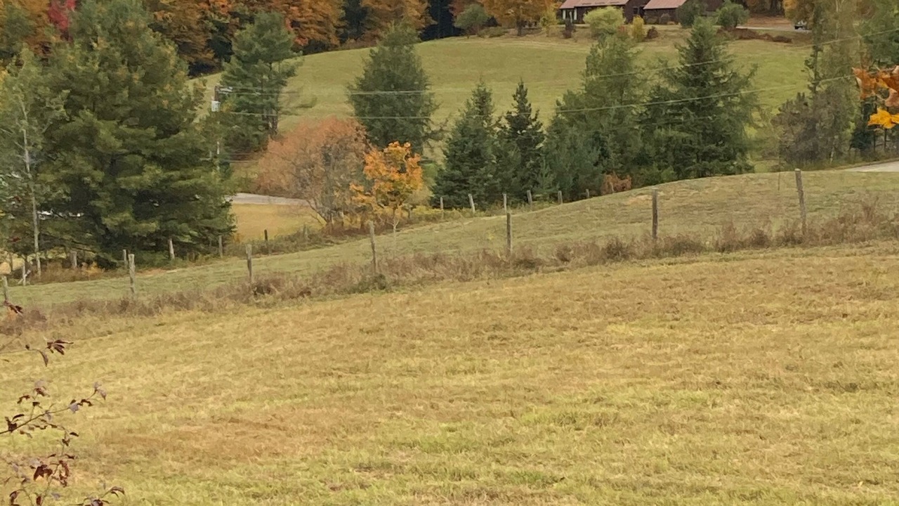 Photo of Others in Lyndon