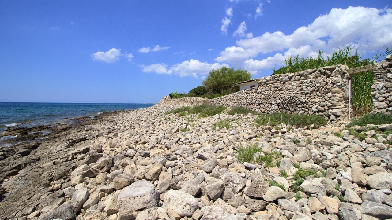 Photo of Others in Torre Vado