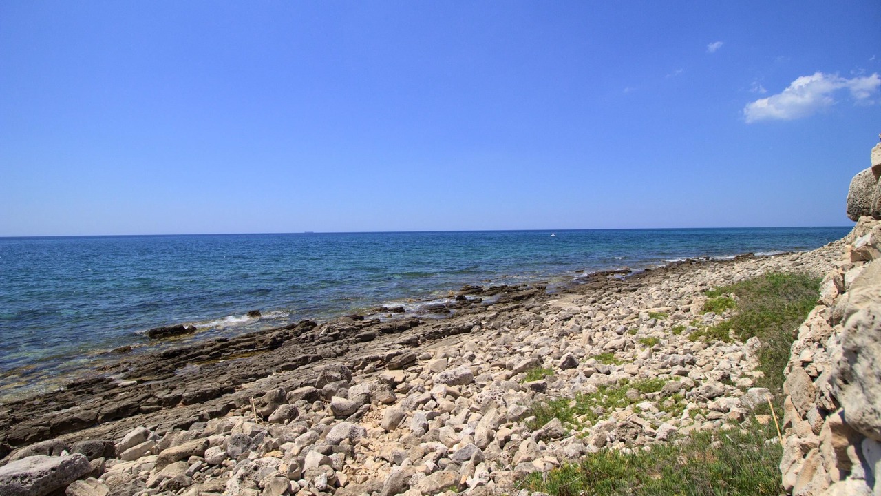 Photo of Others in Torre Vado