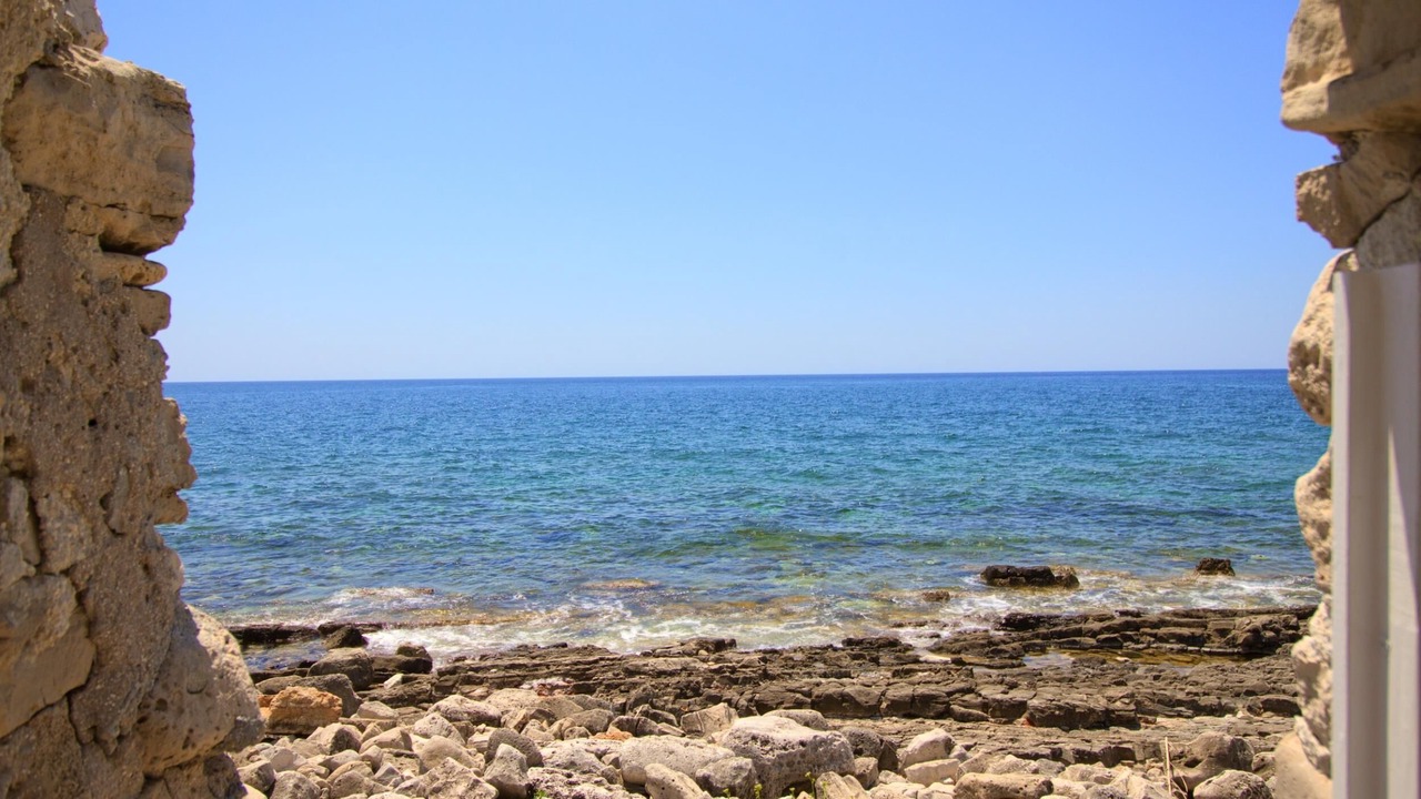 Photo of Others in Torre Vado