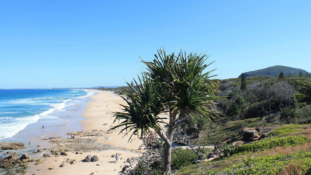 Photo of Others in Mount Coolum