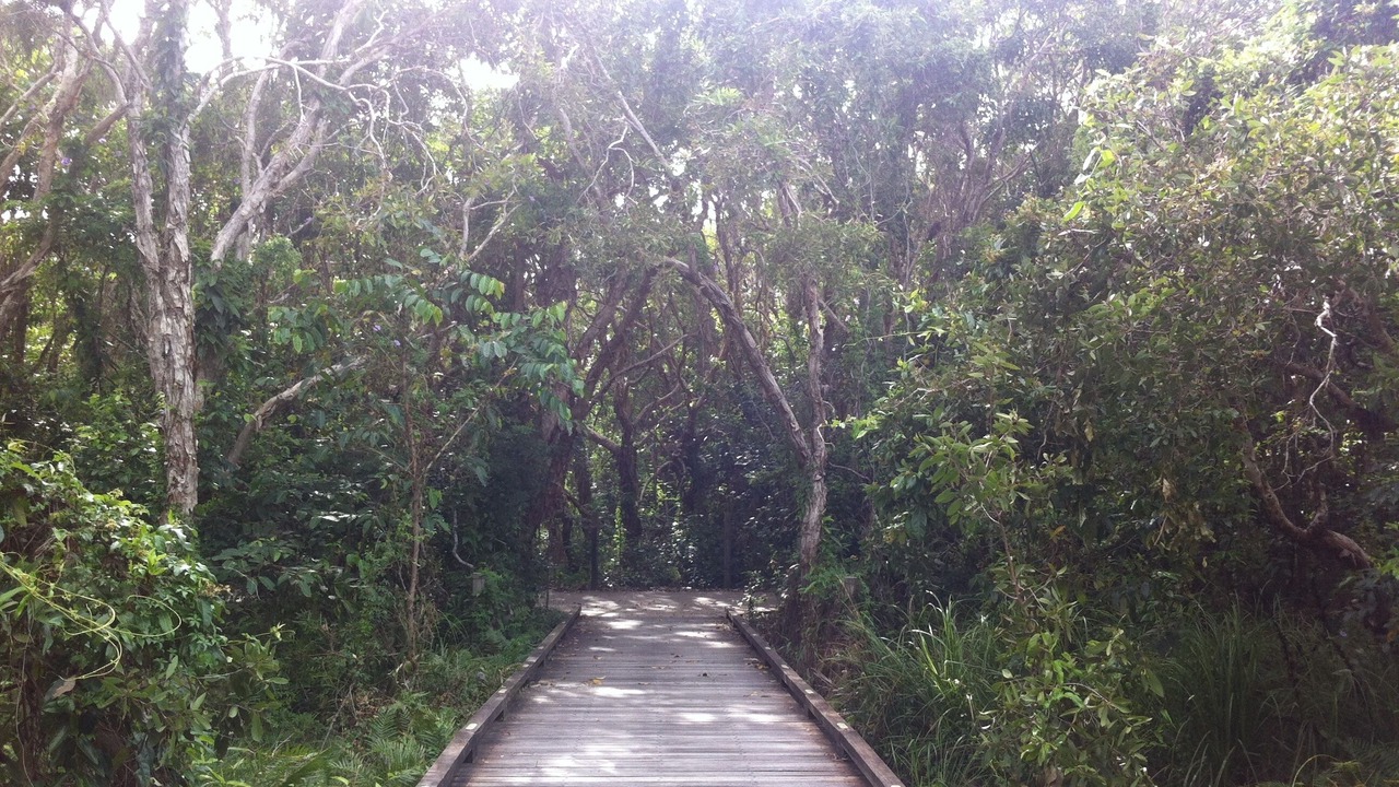 Photo of Others in Mount Coolum