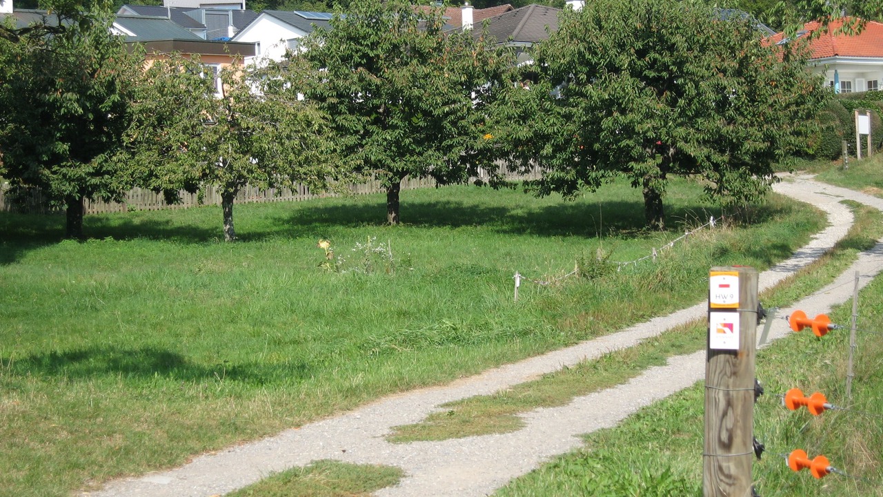 Photo of Outdoor in Ueberlingen
