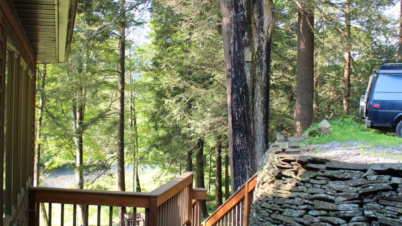 Photo of Outdoor in Bodines