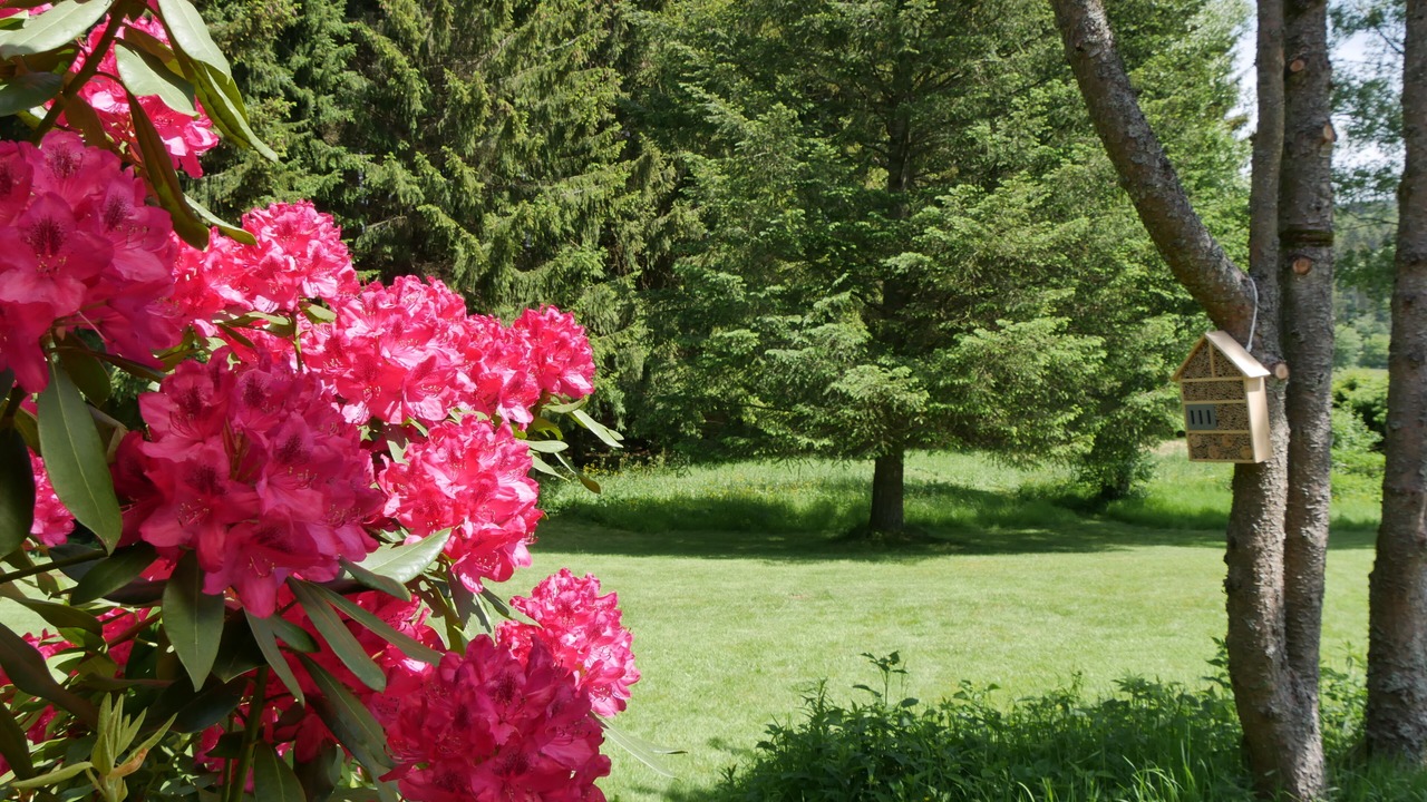 Photo of Outdoor in Borfink