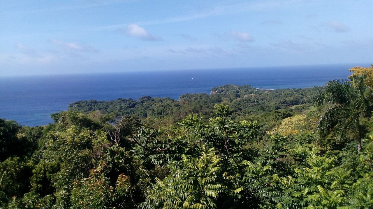 Photo of Others in Port Antonio