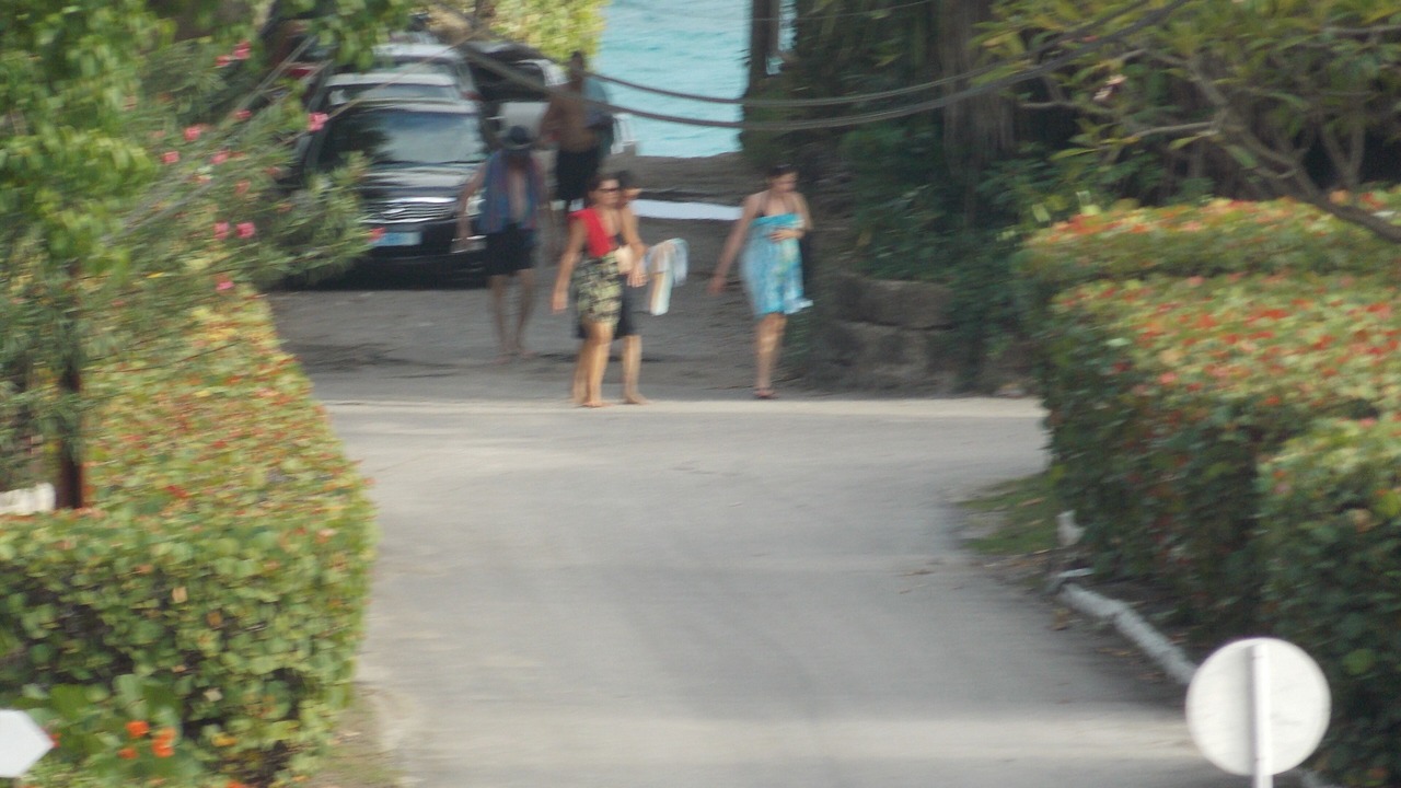 Photo of Others in Diamond Valley