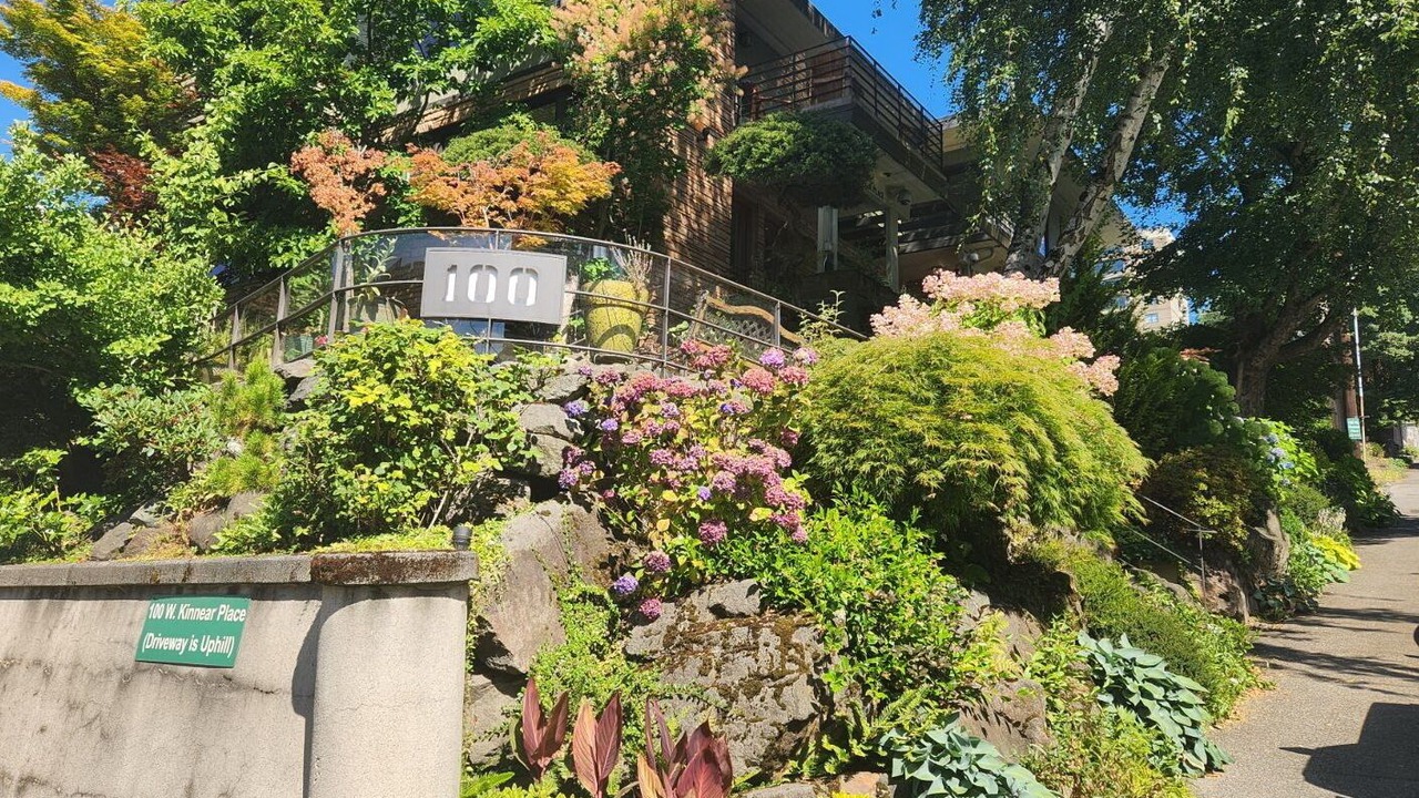 Photo of Others in Lower Queen Anne