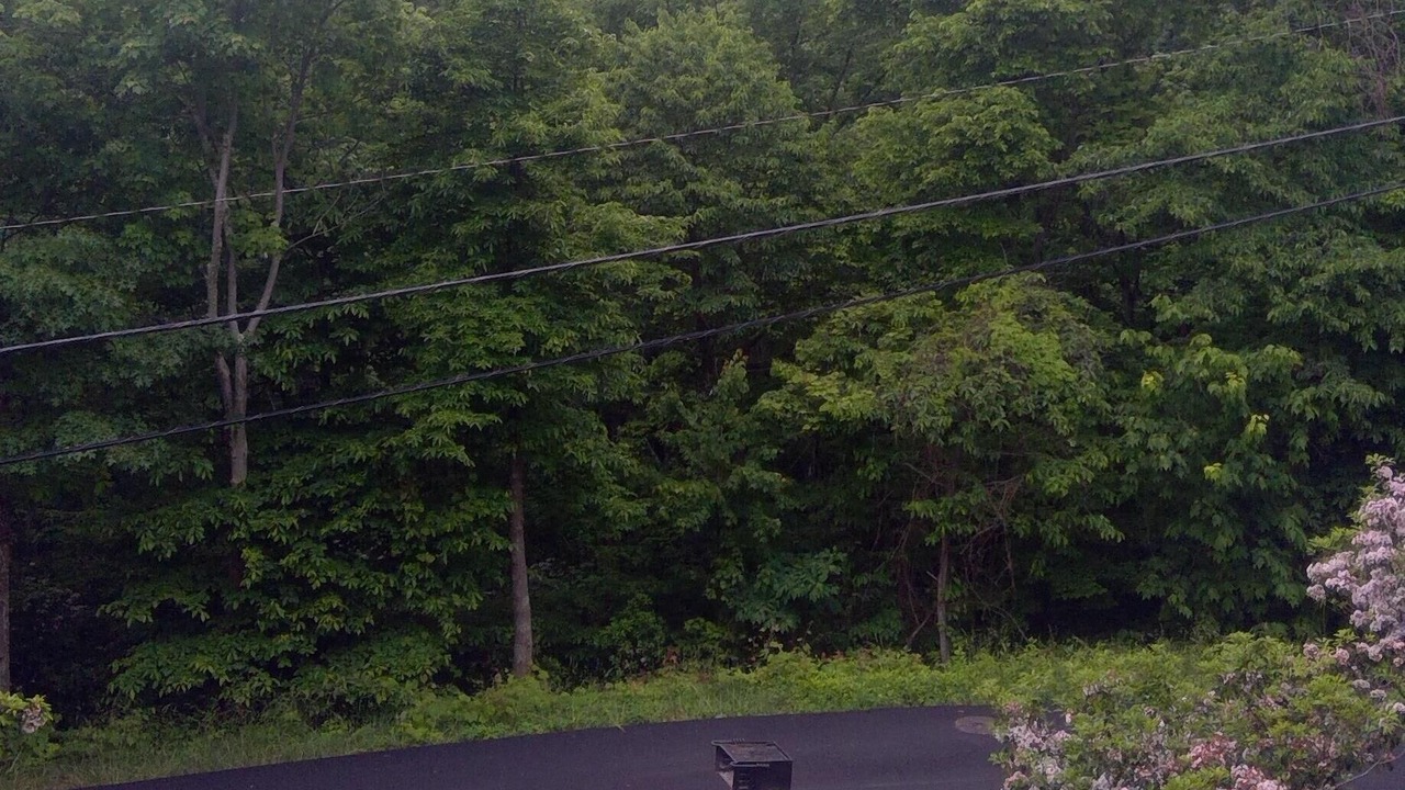 Photo of Outdoor in Chalet Village