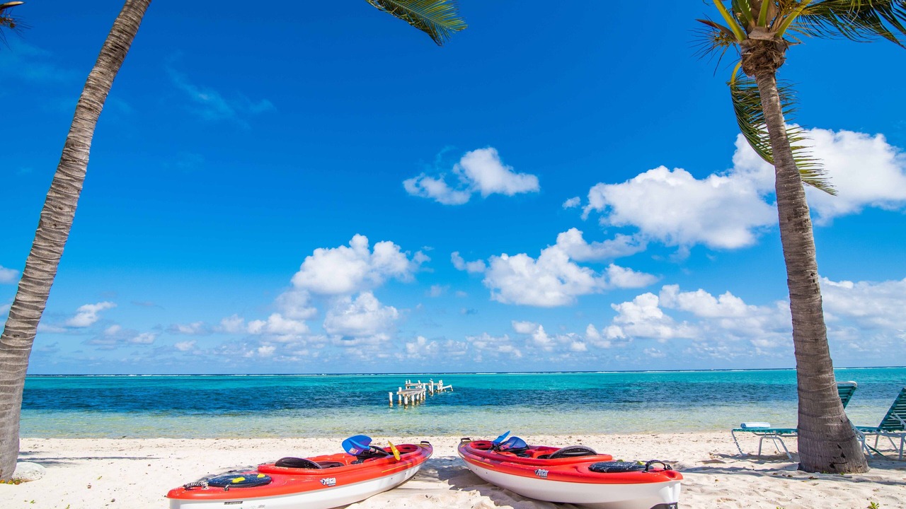 Photo of Others in Colliers Bay