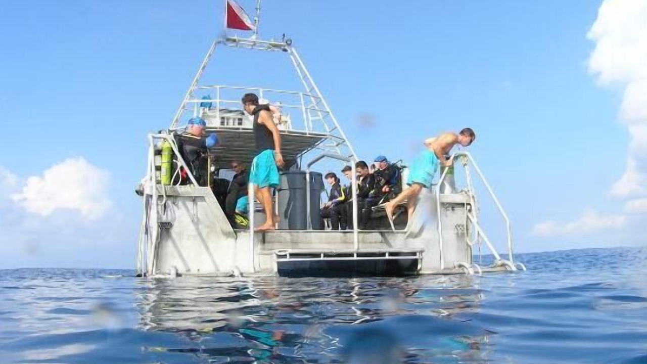 Photo of Others in Colliers Bay