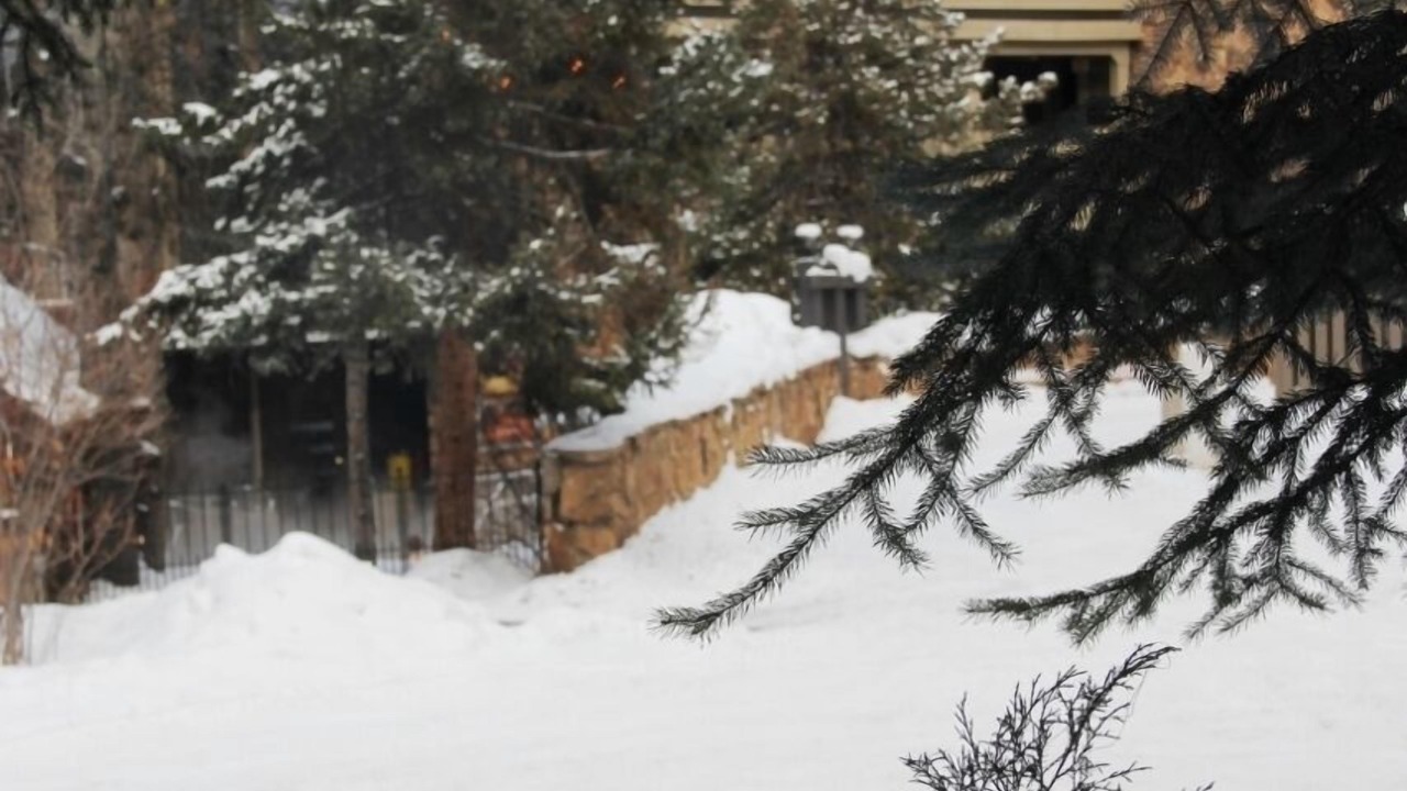 Photo of Bedroom in Aspen