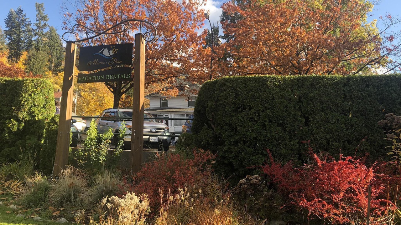 Photo of Outdoor in Nelson
