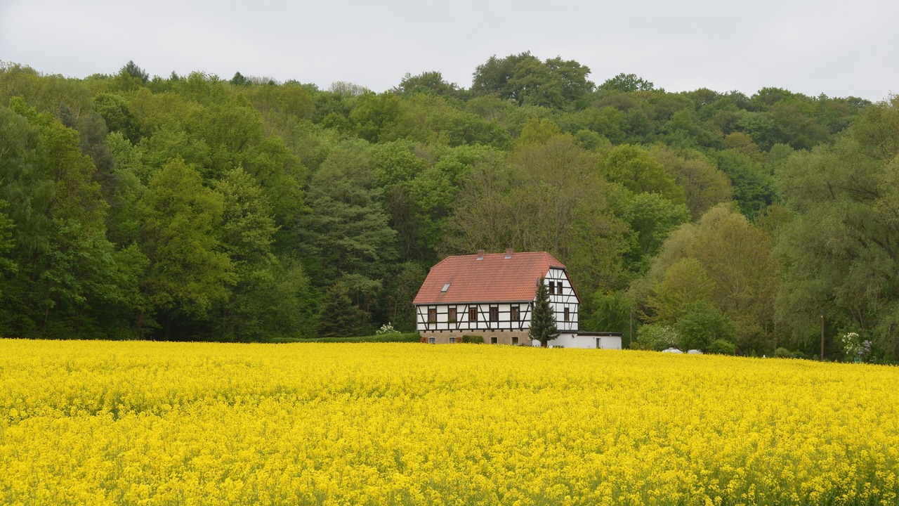 Photo of Outdoor in Leisnig