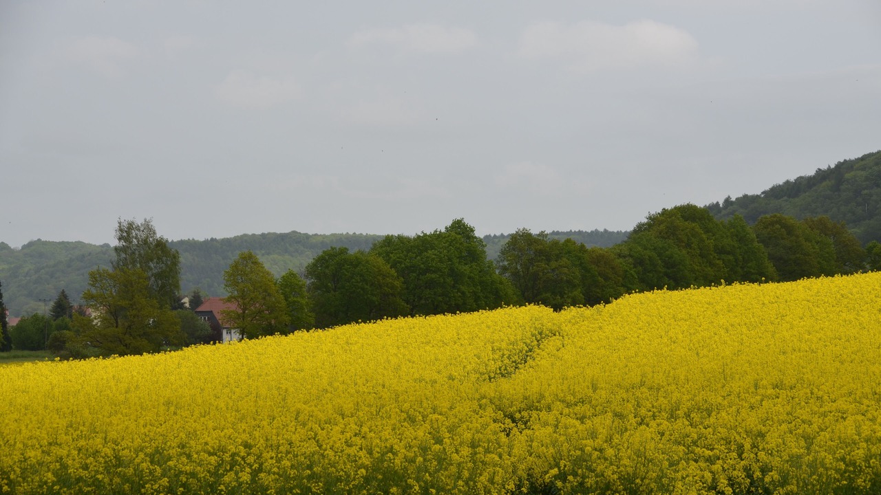 Photo of Outdoor in Leisnig