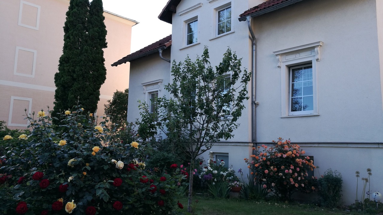 Photo of Outdoor in Dresden