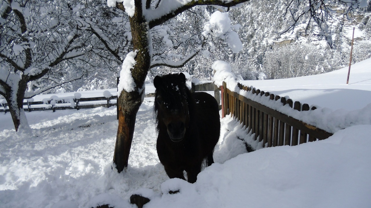 Photo of Others in Ried im Oberinntal