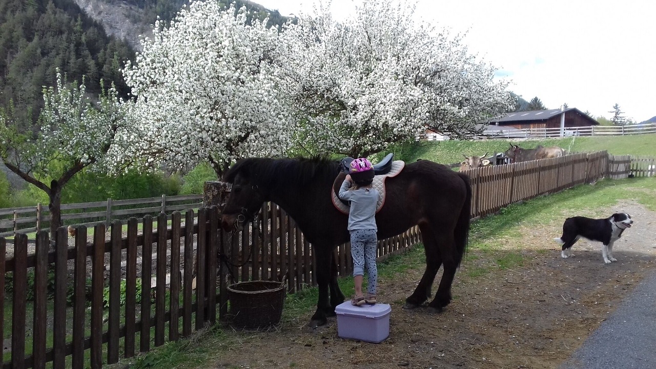 Photo of Outdoor in Ried im Oberinntal