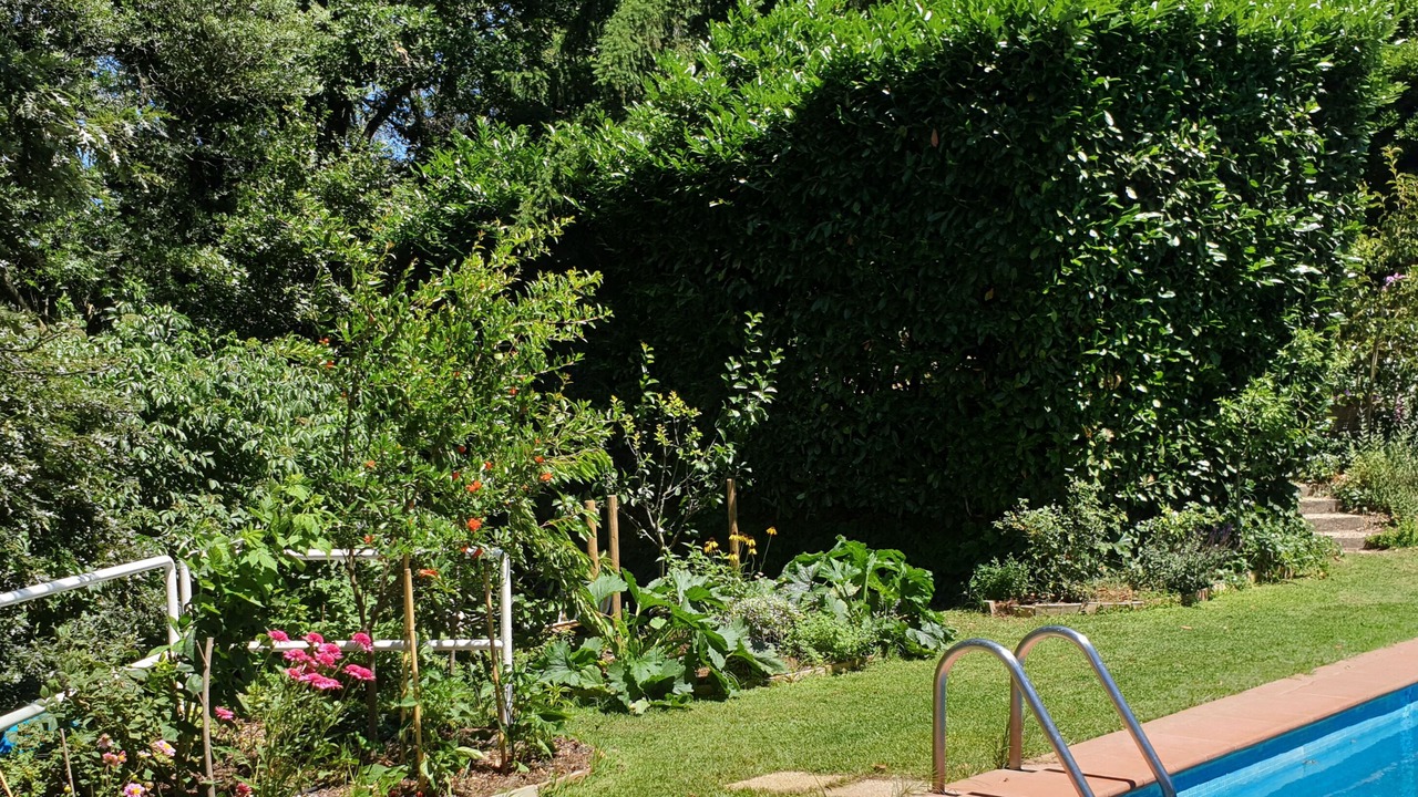 Photo of Outdoor in Formello
