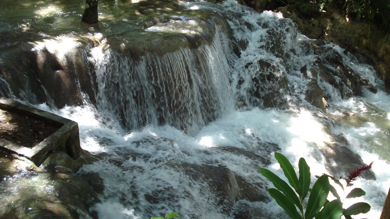 Photo of Others in Ocho Rios