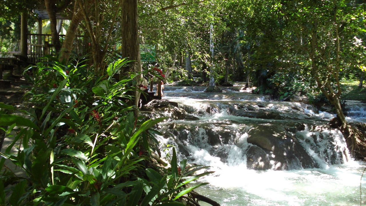 Photo of Others in Ocho Rios