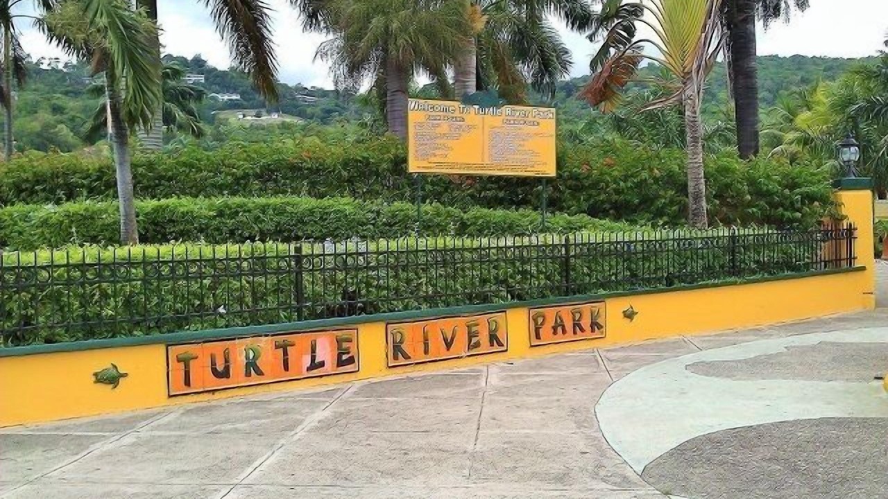 Photo of Outdoor in Ocho Rios