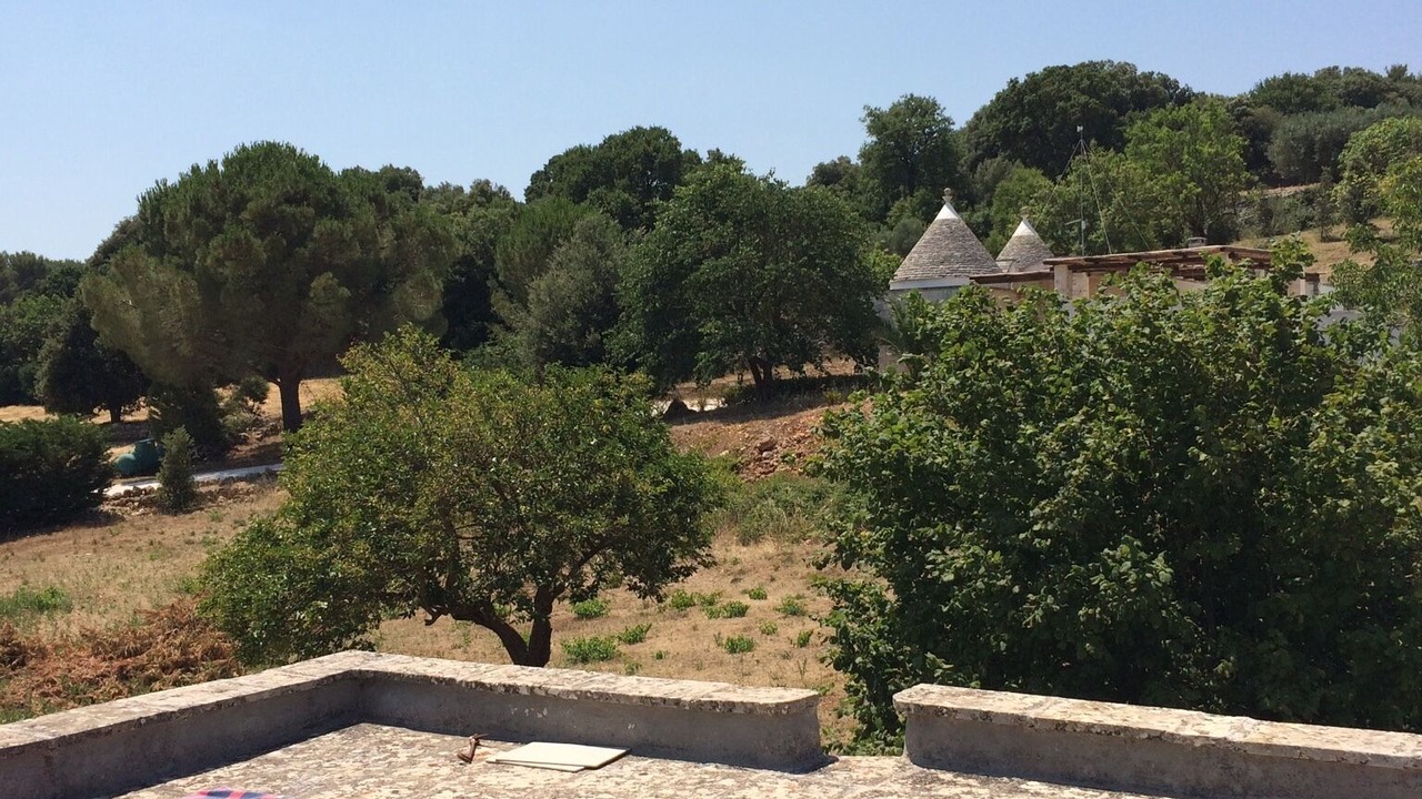 Photo of Others in Martina Franca
