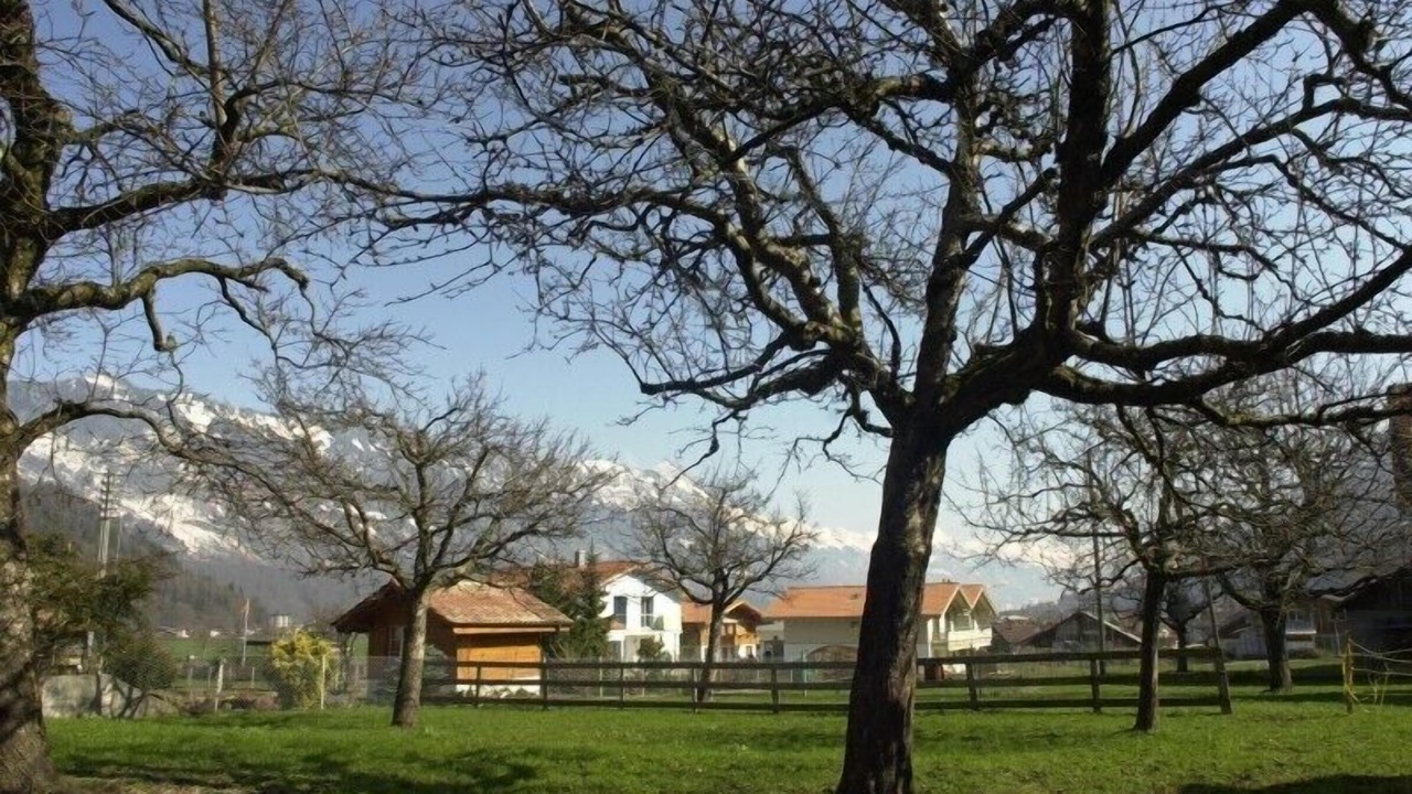 Photo of Outdoor in Wilderswil