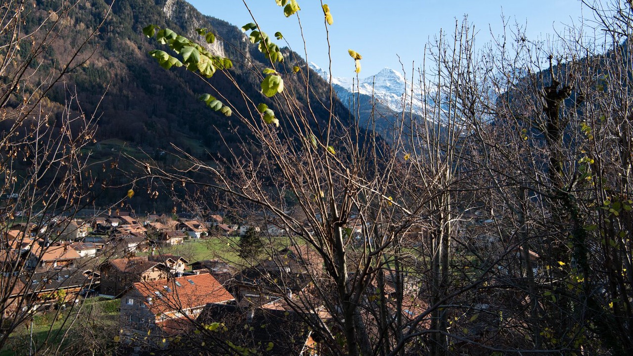 Photo of Outdoor in Wilderswil