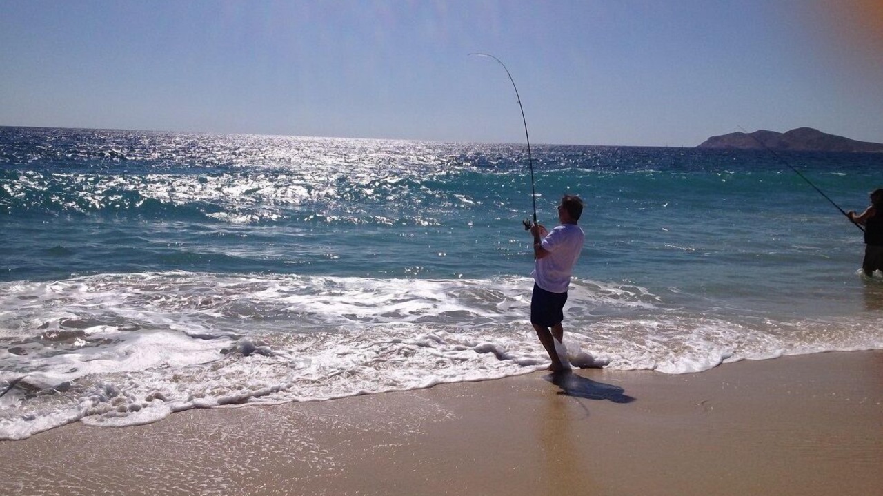 Photo of Others in San Jose del Cabo