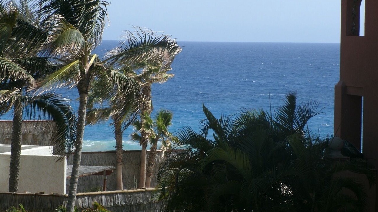 Photo of Others in San Jose del Cabo