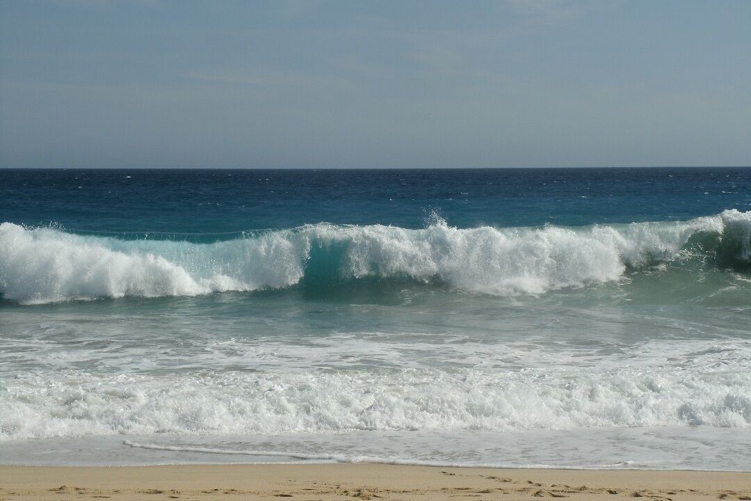 Photo of Others in San Jose del Cabo