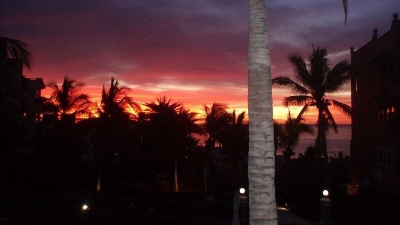 Photo of Others in San Jose del Cabo