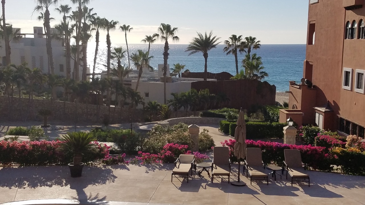 Photo of Others in San Jose del Cabo