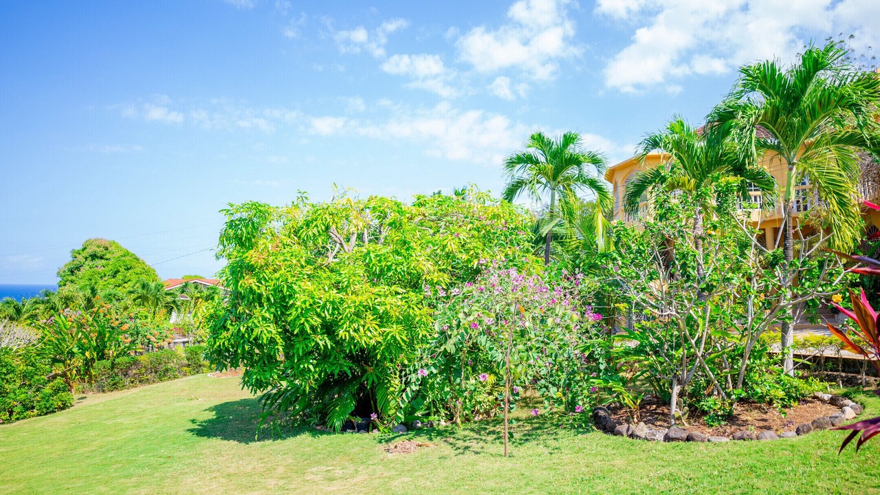 Photo of Outdoor in Tower Isle