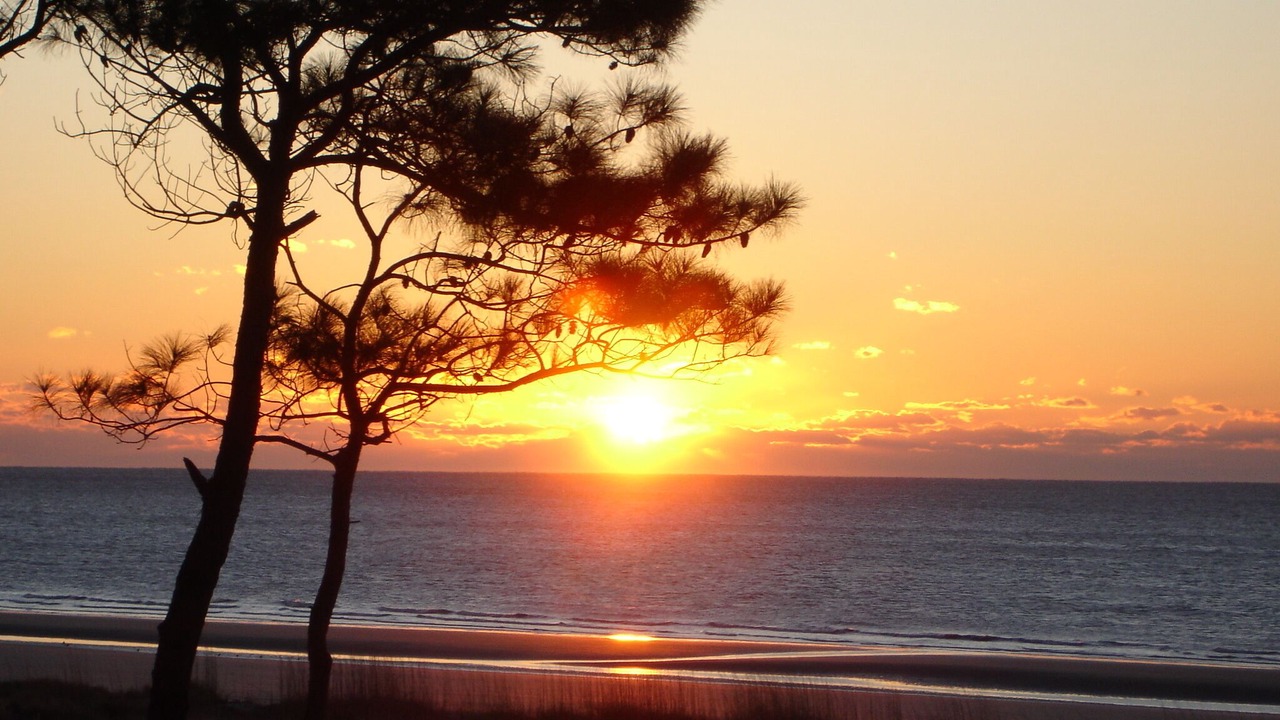 Photo of Others in Hilton Head Island