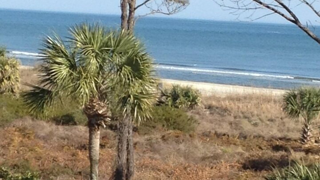 Photo of Others in Hilton Head Island