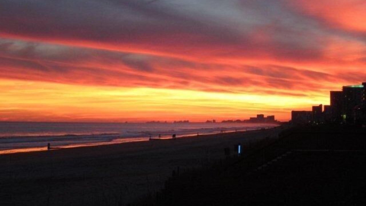 Photo of Others in Crescent Beach
