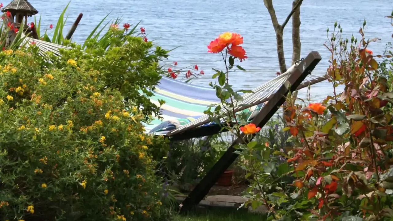 Photo of Outdoor in Poulsbo