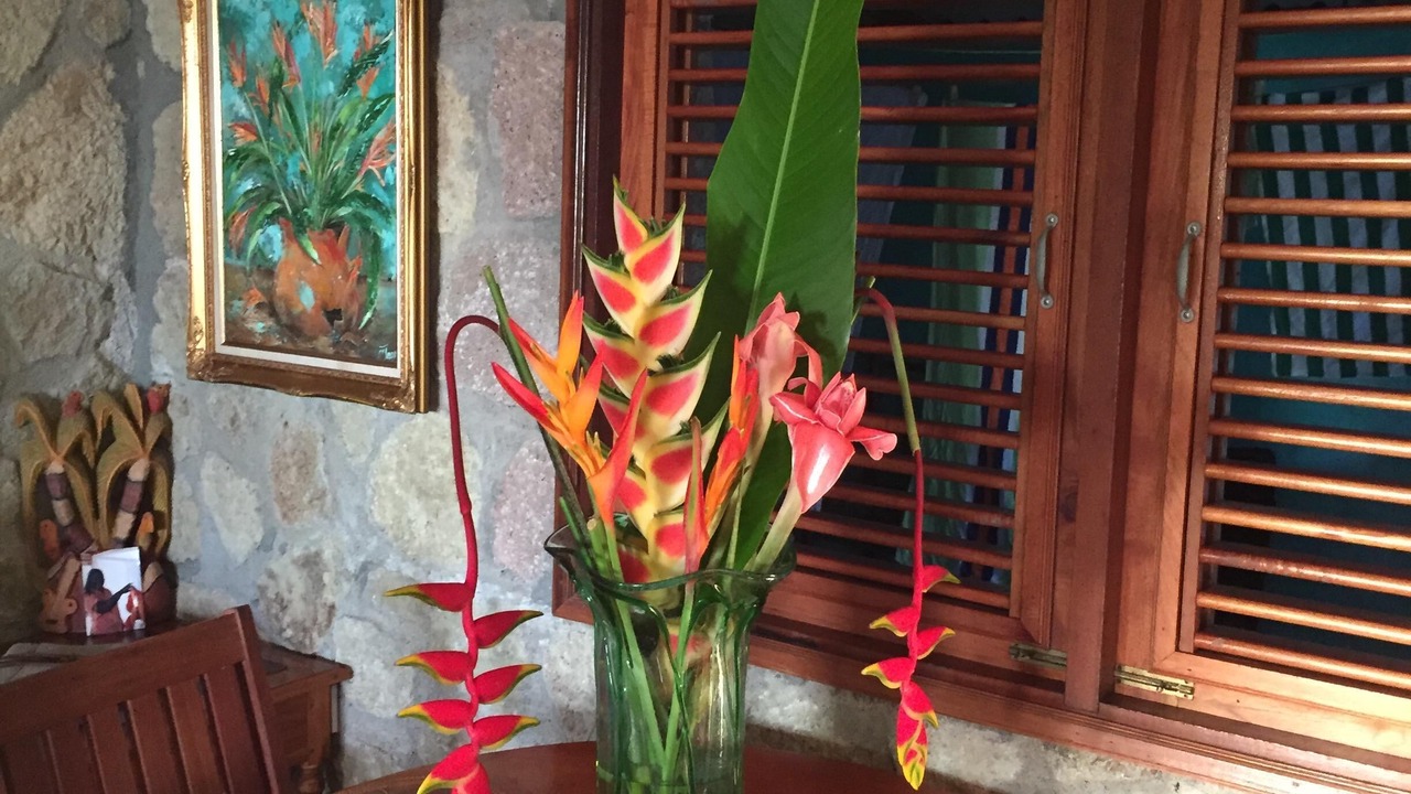 Photo of Outdoor in Soufriere